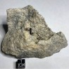 Allanite
