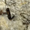 Allanite