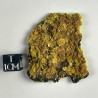 Autunite