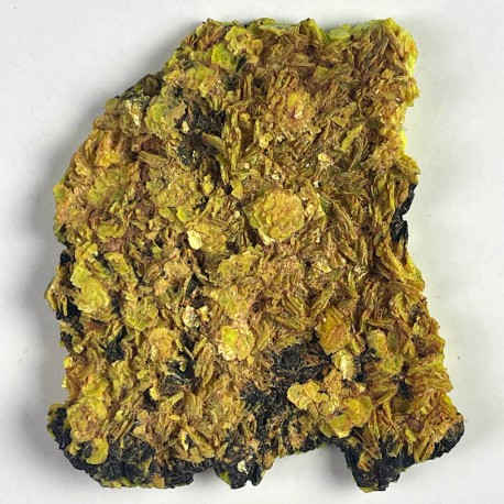 Autunite Autunite