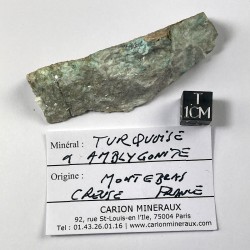 Turquoise et Amblygonite