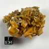 Wulfenite