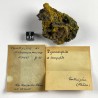 Campylite and Pyromorphite