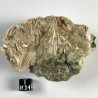 Stevensite