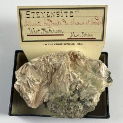 Stevensite