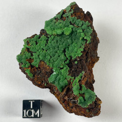 Conichalcite, Mexique