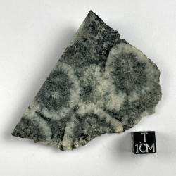 Diorite orbiculaire, France