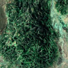 Torbernite, Democratic Republic of Congo