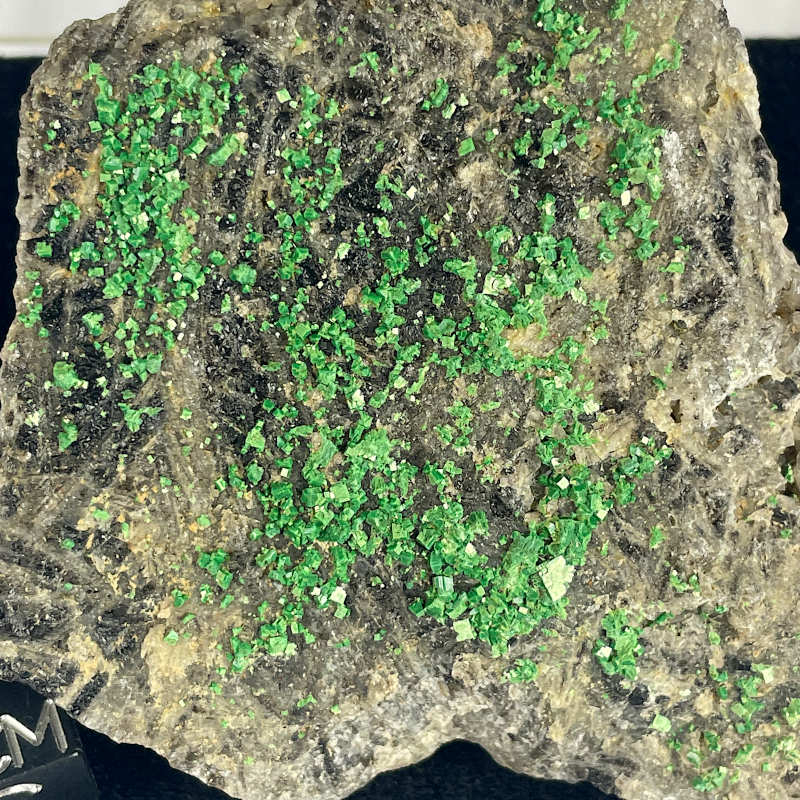 【稀少】フランス産　Torbernite Torbernite, France