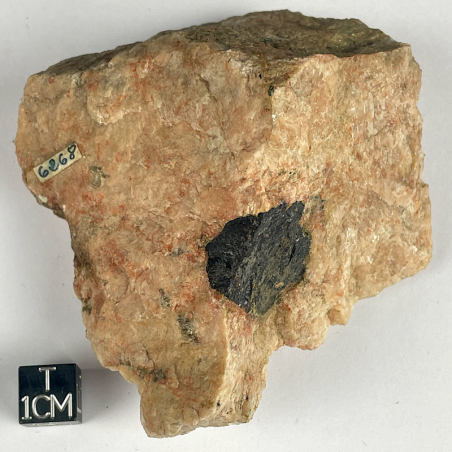 Tapiolite, Finland