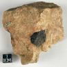 Tapiolite, Finland