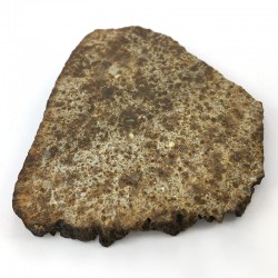 Chondrite