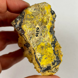 Voltzite and Greenockite, Tunisia