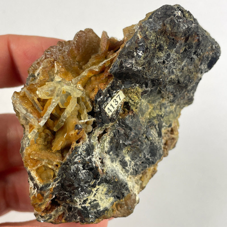 Maganospherite, Roumanie