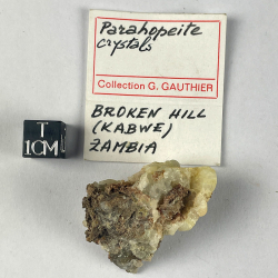 Parahopeite, Zambie