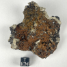 Galene et Blende, Angleterre