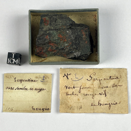 Serpentine, Hongrie