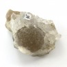 Fluorine
