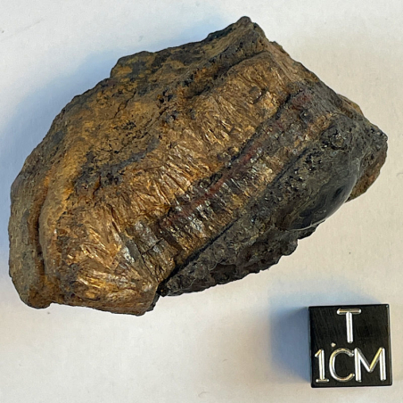 Arsenosiderite, France