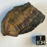 Arsenosiderite, France
