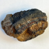 Arsenosiderite, France
