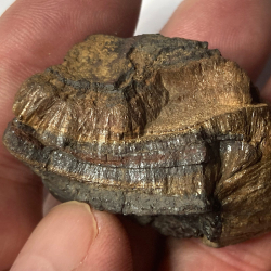 Arsenosiderite, France