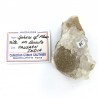 Fluorine
