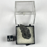Cylindrite, Bolivia