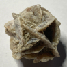 Pseudomorphose de silice