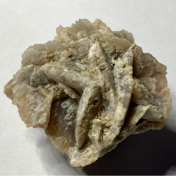 Pseudomorphose de silice