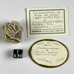 Pseudomorphose de silice