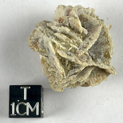 Pseudomorphose de silice
