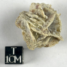 Pseudomorphose de silice