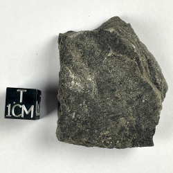 Coal schist, France