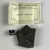 Coal schist, France