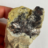 Megabasite, Silverton, Colorado, USA.