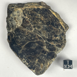 Mica Biotite, France