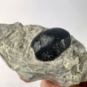 Obsidian, USA