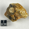 Pyrophyllite