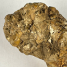Phosphorite