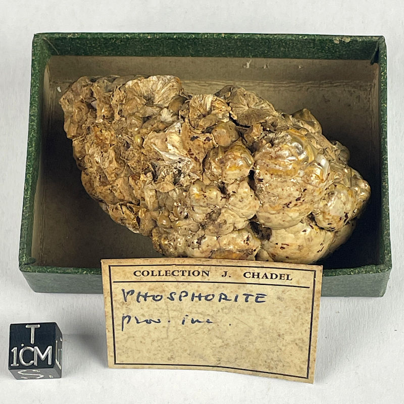 Phosphorite Phosphorite