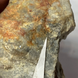 Native Gold, France