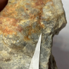 Native Gold, France