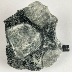 Diorite Orbiculaire, France