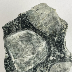 Diorite Orbiculaire, France