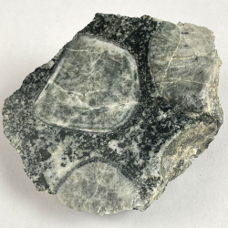 Diorite Orbiculaire, France