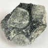 Diorite Orbiculaire, France