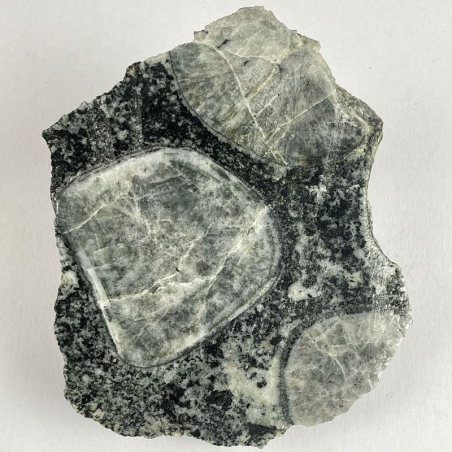 Diorite Orbiculaire, France