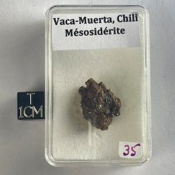Vaca Muerta, Chile