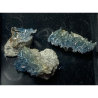 Paravauxite, Bolivie